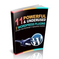 11 potentes complementos de Wordpress para los vendedores de Internet