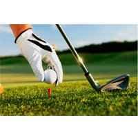 25 eBooks de golf