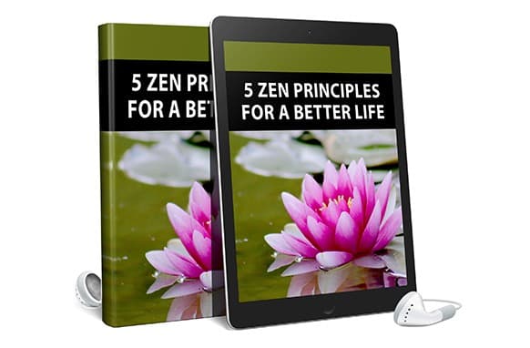 5 Principios Zen para una vida mejor