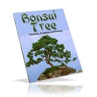 Bonsai Trees: Growing, Trimming, Pruning y Sculpting