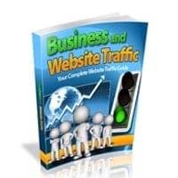 Negocio y Tráfico Web