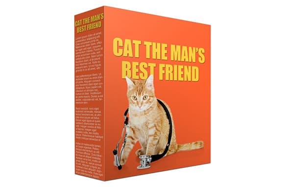 Cat Mans Best Friend PLR Artículos