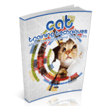 Técnicas de Adiestramiento para Gatos