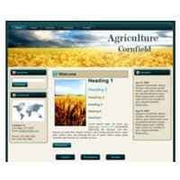 Cornfield WP Tema