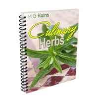 Herbs Culinary