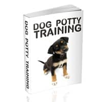 Entrenamiento de potty para perros