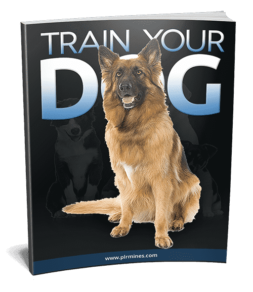 Consejos de entrenamiento para perros