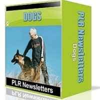 Los perros Niche Newsletters