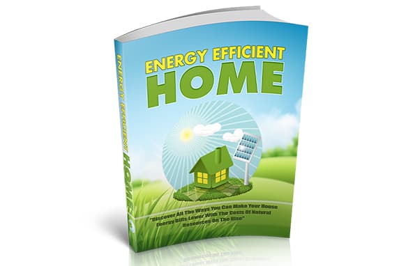 Energy Efficient Home
