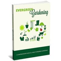 Jardinería Evergreen