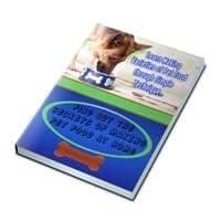 Descubre los secretos de preparar comida para mascotas en casa