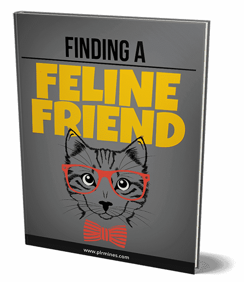 Encontrar un amigo Feline