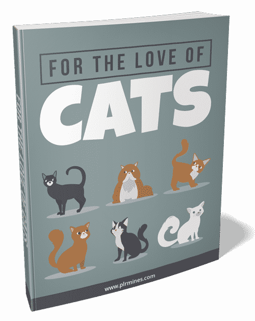 Por el amor de los gatos 2021