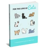 Para el amor de los gatos