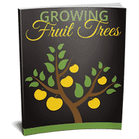 Árboles de frutas de cultivo