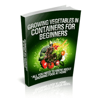 Cultivar vegetales en contenedores para principiantes