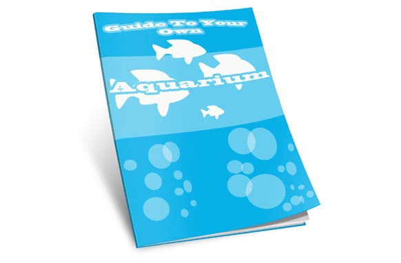 Guía a tu propio acuario