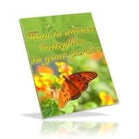 Cómo atraer mariposas a su jardín