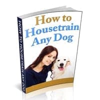 Cómo Educar a Cualquier Perro para Hacer sus Necesidades en el Lugar Correcto