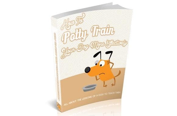 Cómo entrenar a tu perro con más eficacia