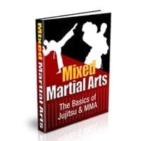 Artes Marciales Mixtas