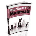 Multitudes de mamíferos