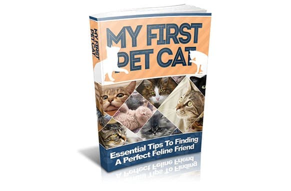 Mi primer gato