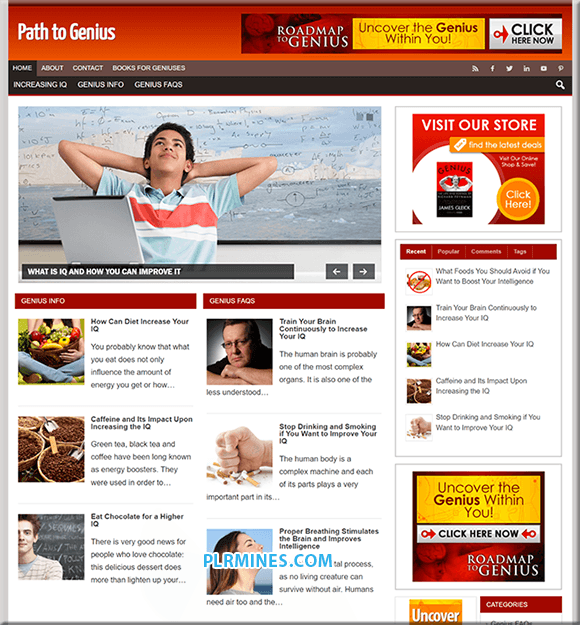 Camino a Genius Niche WordPress PLR Blog