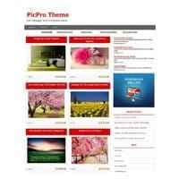 Picpro WordPress Tema