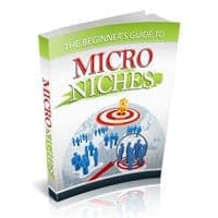 Guía del Principiante de Micro Niches