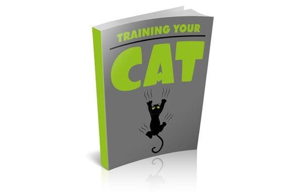 Entrenando a tu gato