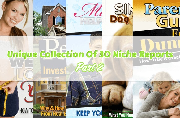 Colección única de 30 informes de Niche Parte 2