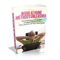 Métodos para Trabajar desde Casa al Descubierto