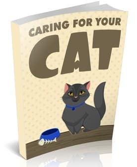 Cuidar a tu gato