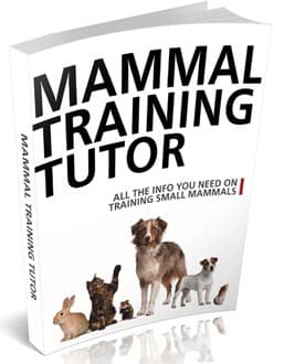 Mammal Training Tutor Edition 2