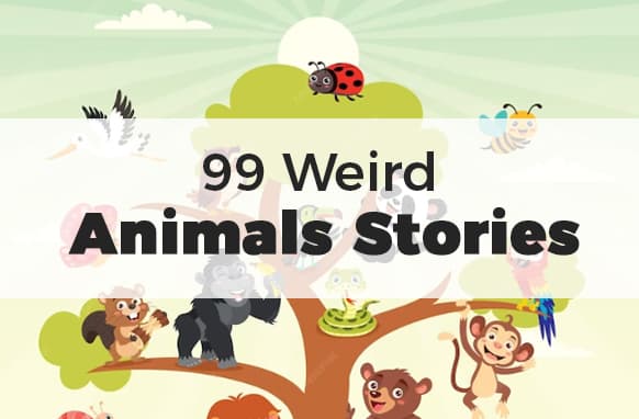 99 Historias de animales raros