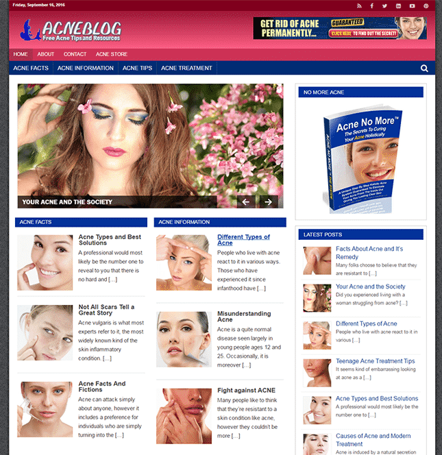 Acne PLR Blog