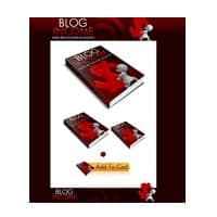 Paquete Minisite Blogging