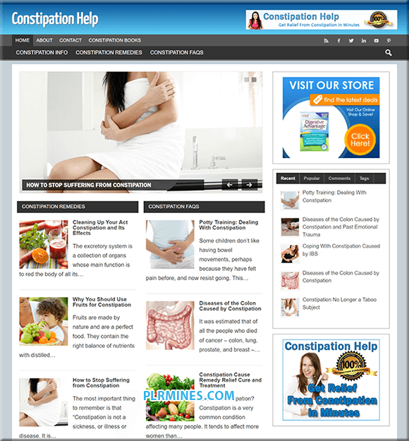 Ayuda Niche PLR Blog