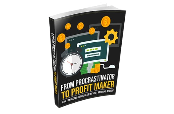De Procrastinator a Profit Maker