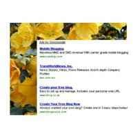 Plantillas HTML para Adsense