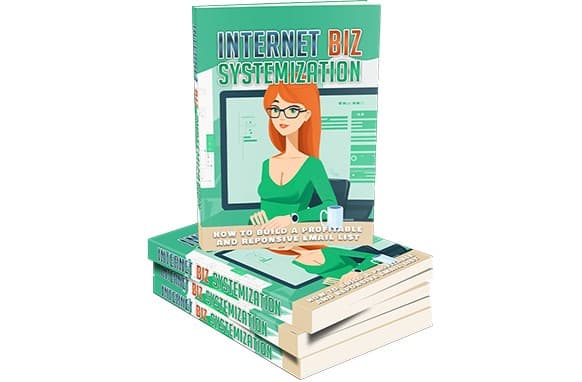 Sistemaización de Internet Biz
