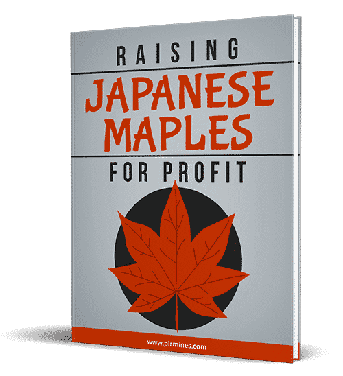 Mapas japoneses para el beneficio