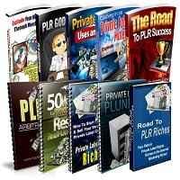 PLR Niche " Profits Reports