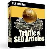 Tráfico " SEO Articles