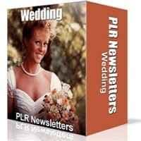 Boda Niche Newsletters