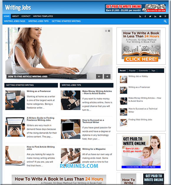 Escritura de empleos Sitio web de Niche WP
